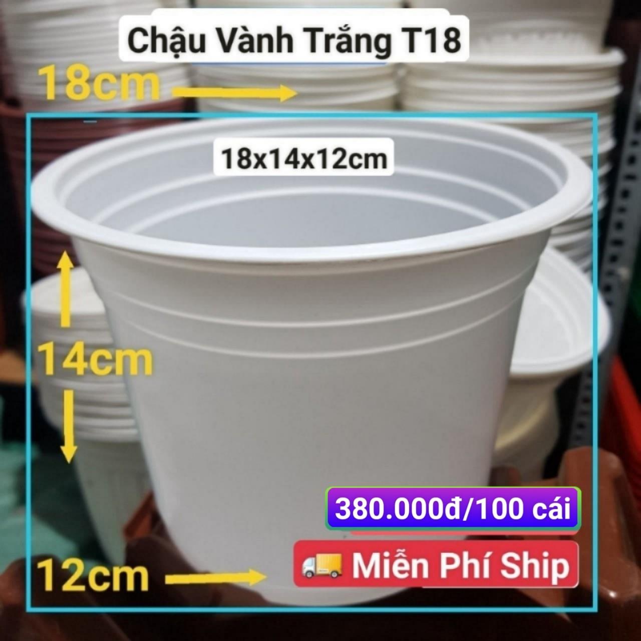 100 Chậu Vành Trắng T18