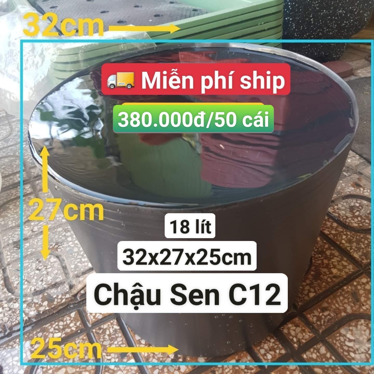 50 Chậu Nhựa Trồng Sen C12