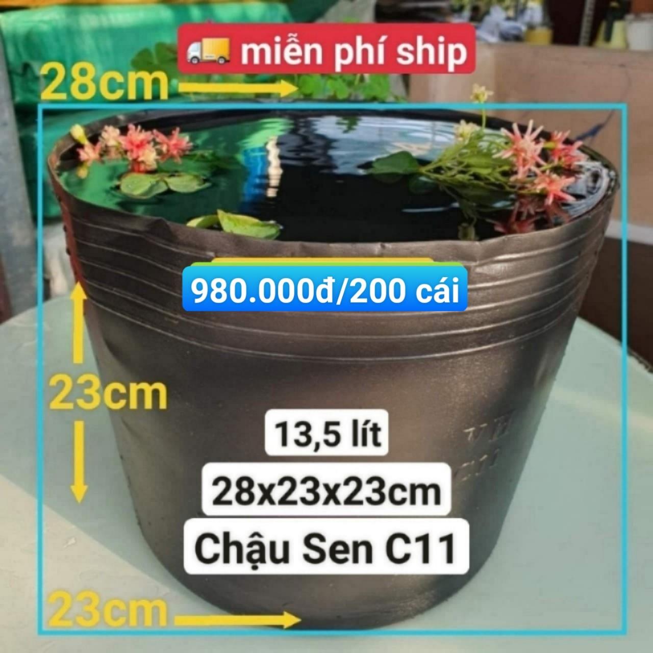 200 Chậu Nhựa Trồng Sen C11