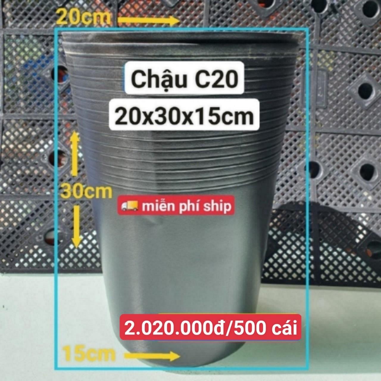 500 Chậu Ươm Cây Giống C20