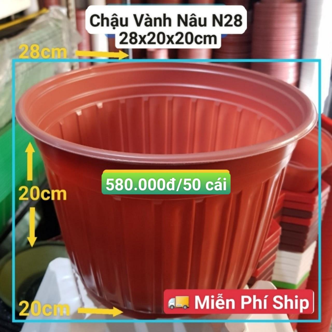 50 Chậu Vành Nâu N28