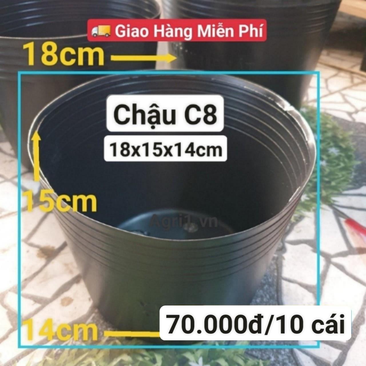 10 Chậu Mềm Đen C8