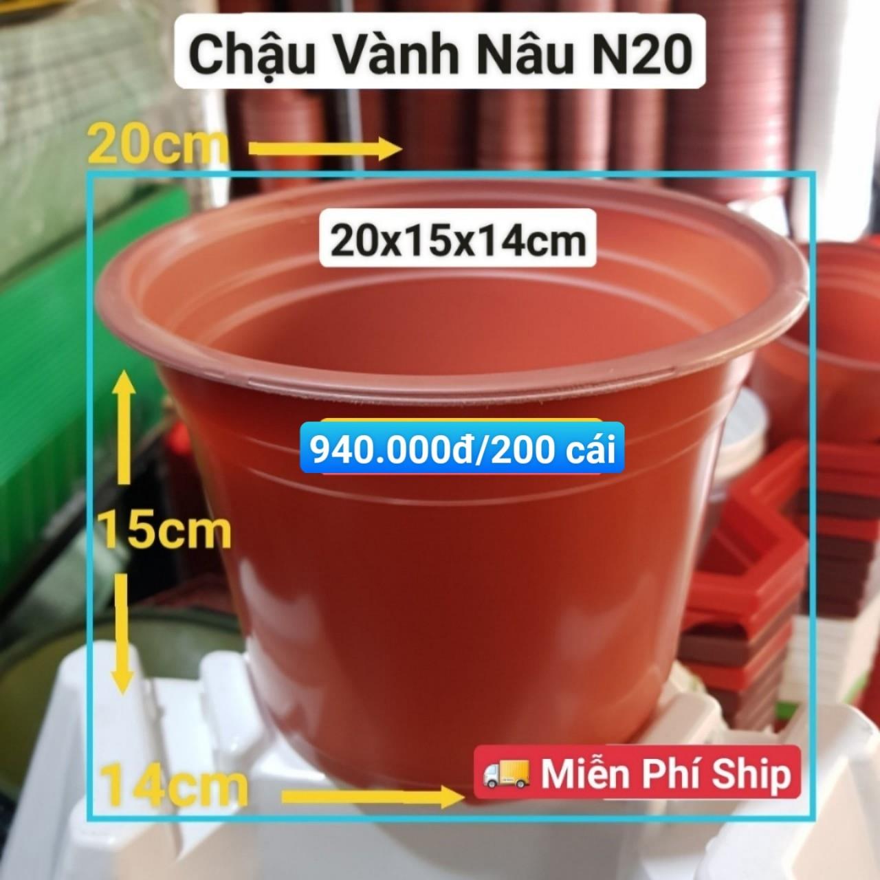 200 Chậu Vành Nâu N20