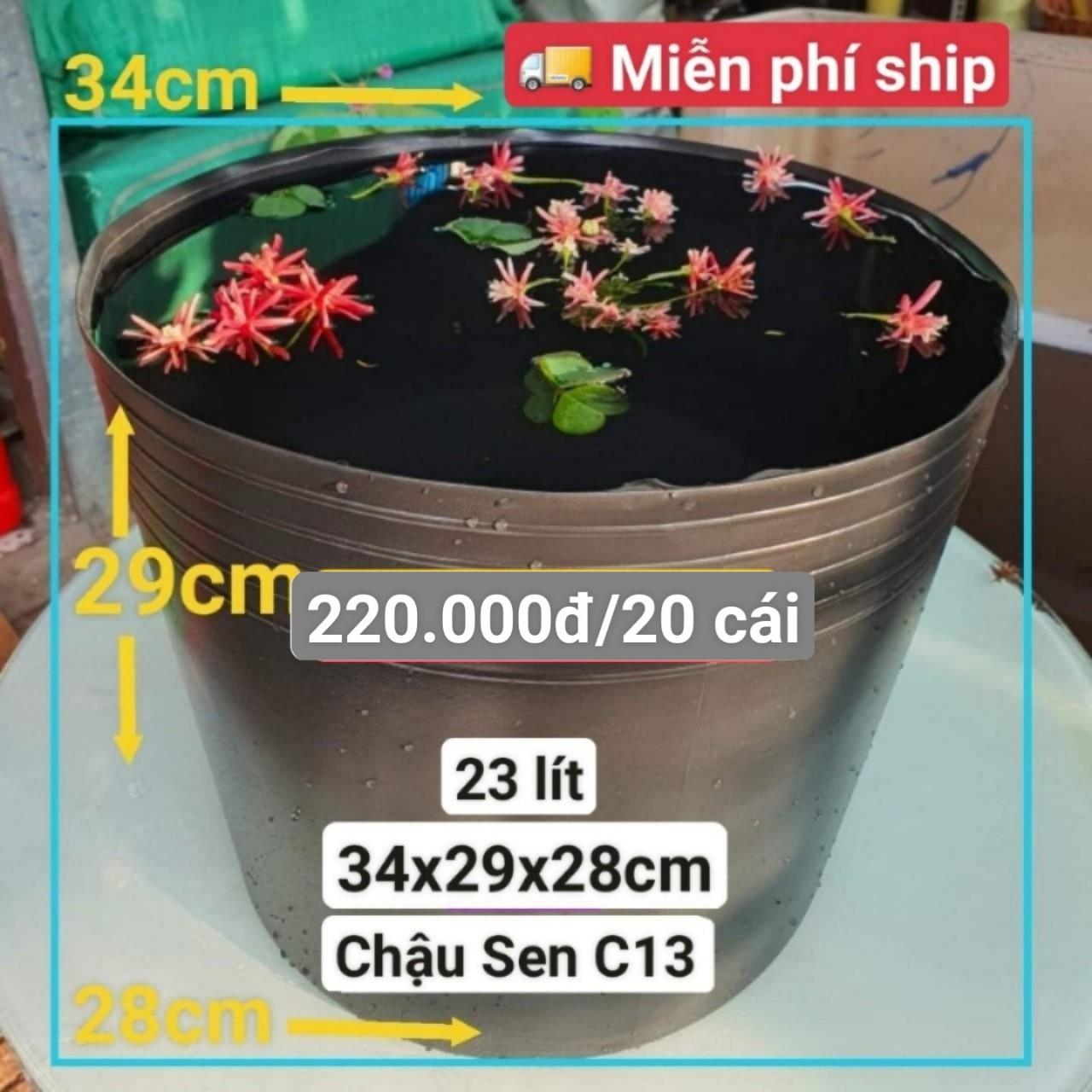 20 Chậu Nhựa Trồng Sen C13