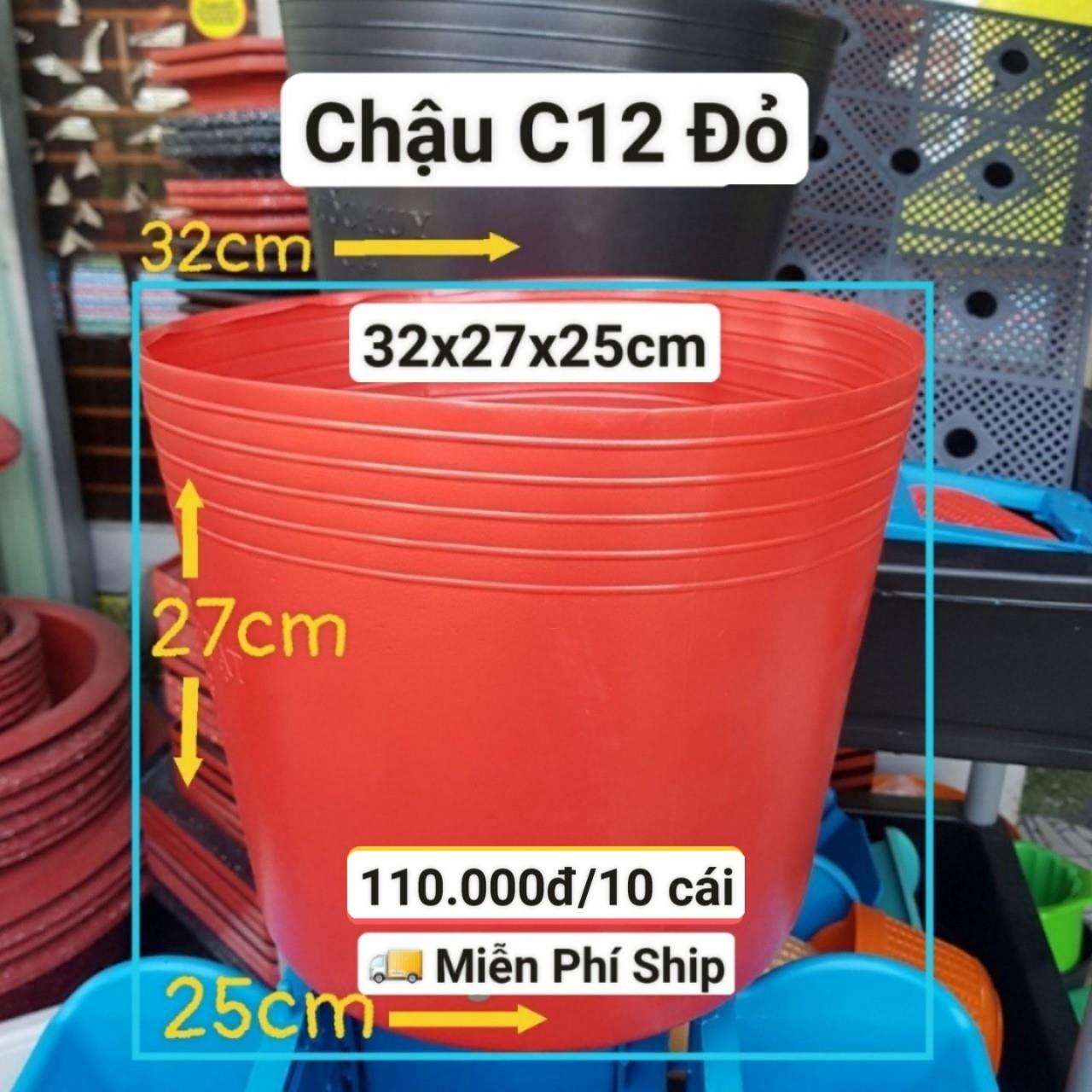 10 Chậu Mềm Đỏ C12