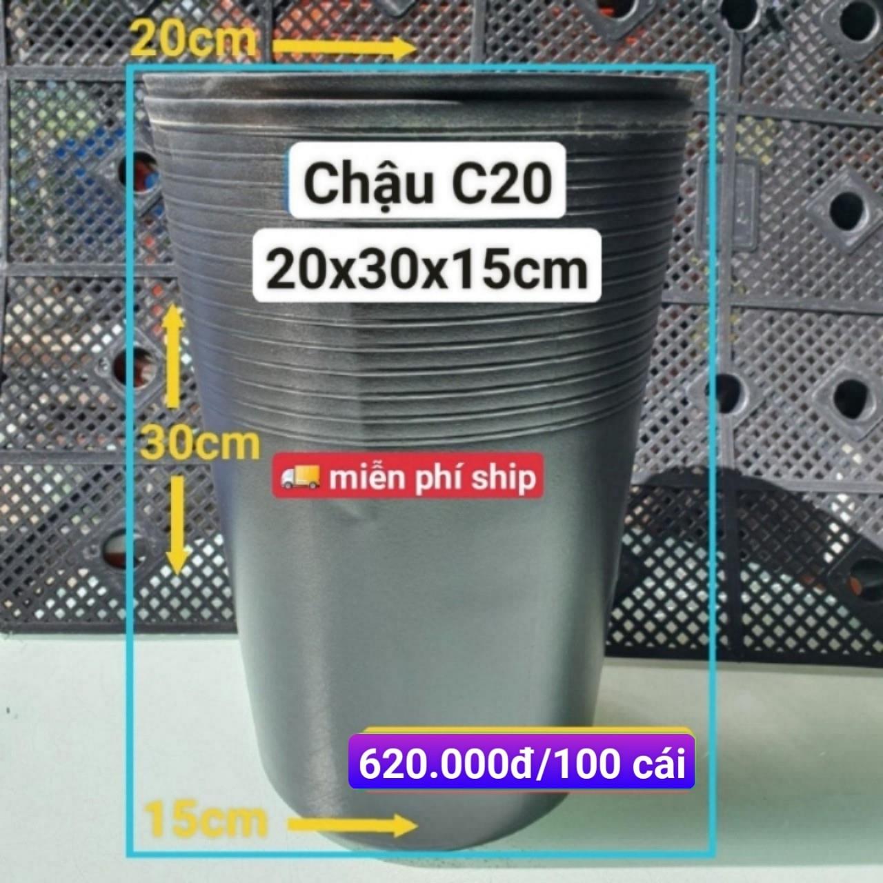 100 Chậu Ươm Cây Giống C20