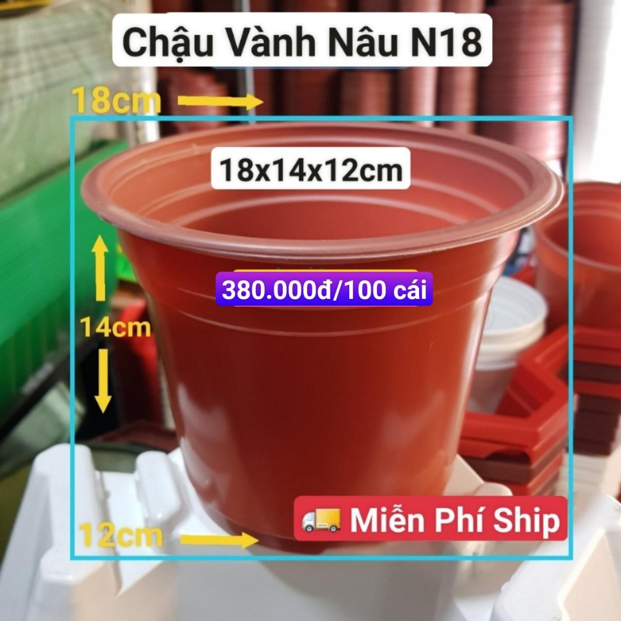 100 Chậu Vành Nâu N18