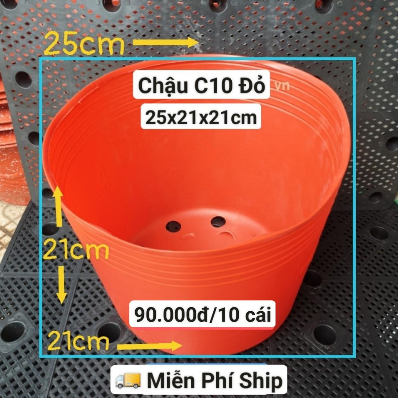 10 Chậu Mềm Đỏ C10
