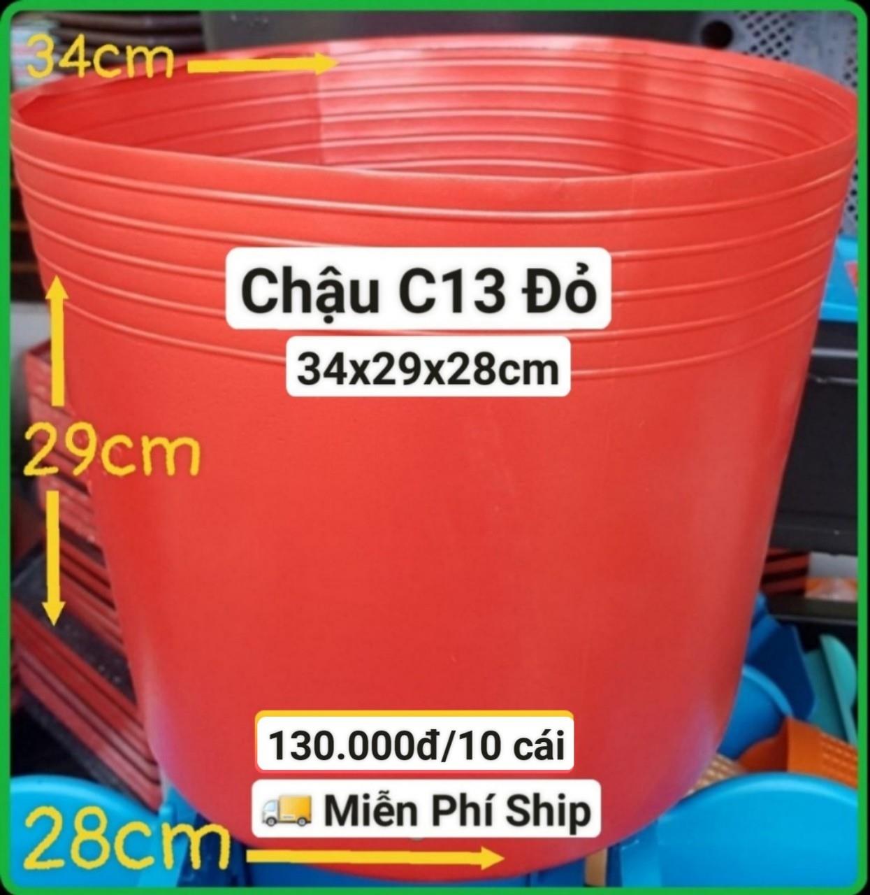 10 Chậu Mềm Đỏ C13