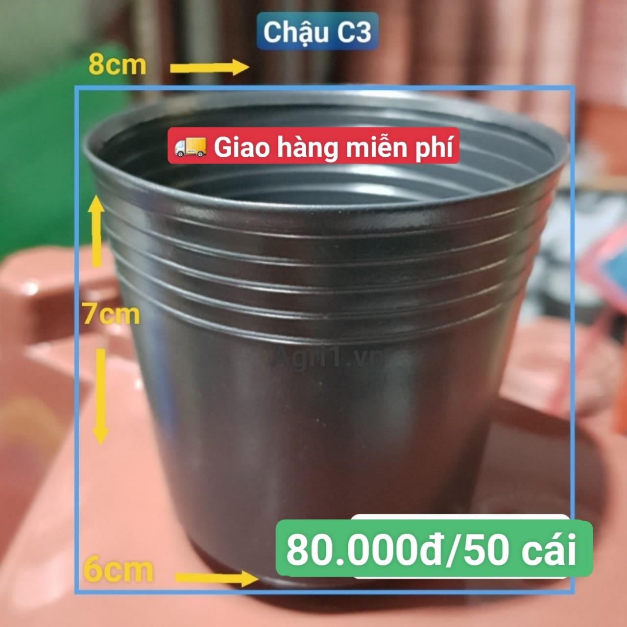 50 Chậu C3
