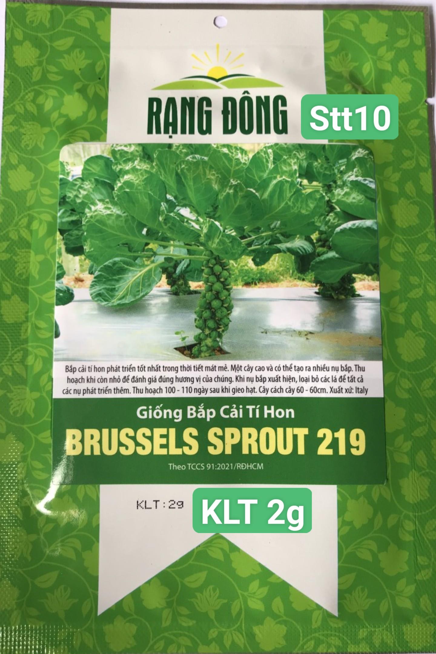 Bắp Cải Tí Hon STT010