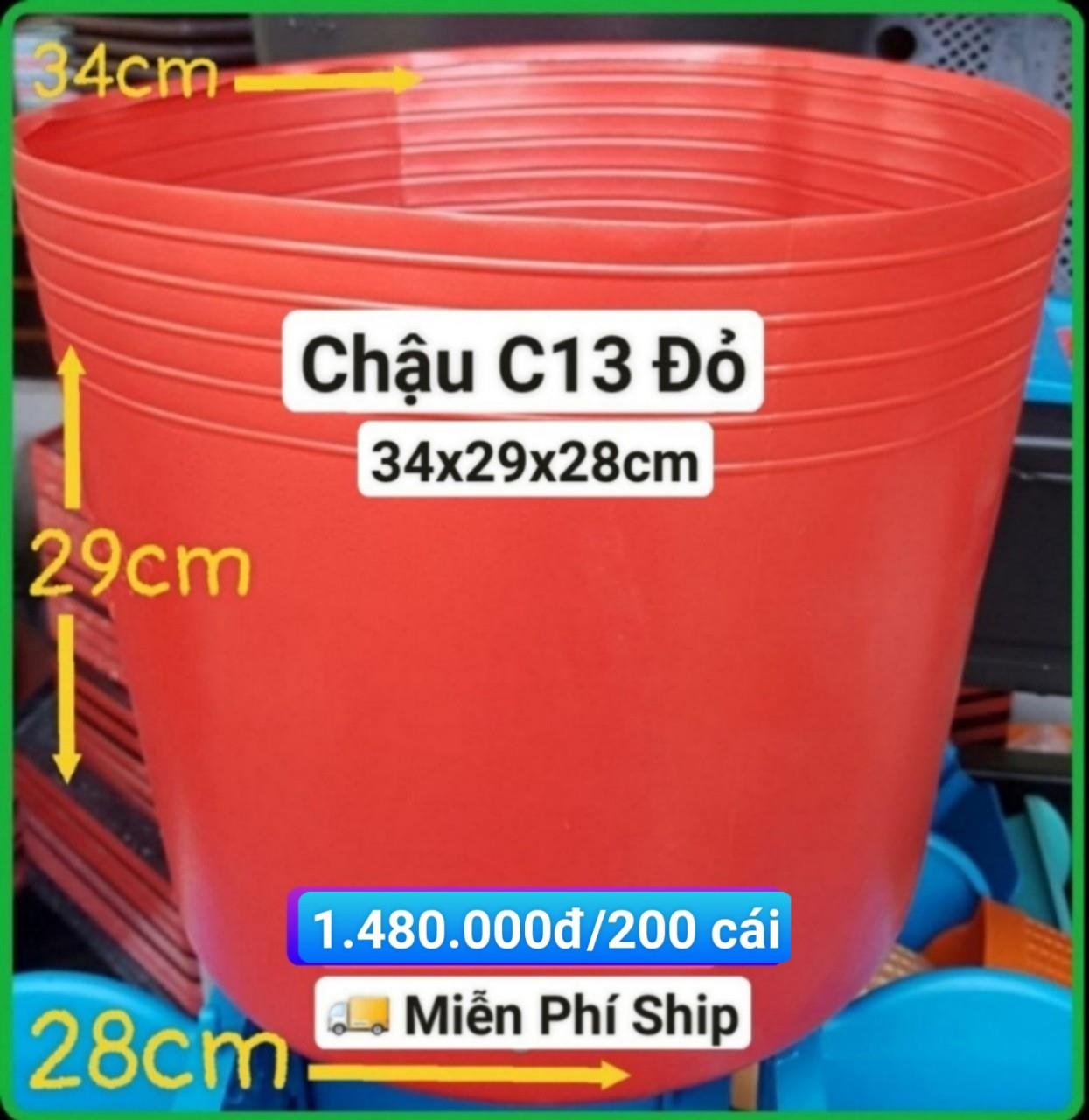 200 Chậu Mềm Đỏ C13