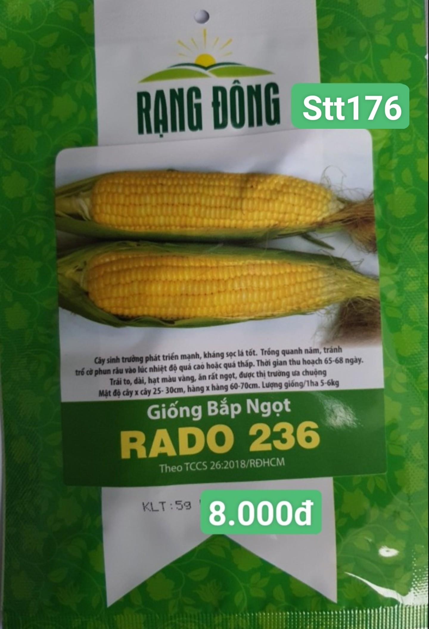Bắp Ngọt STT176