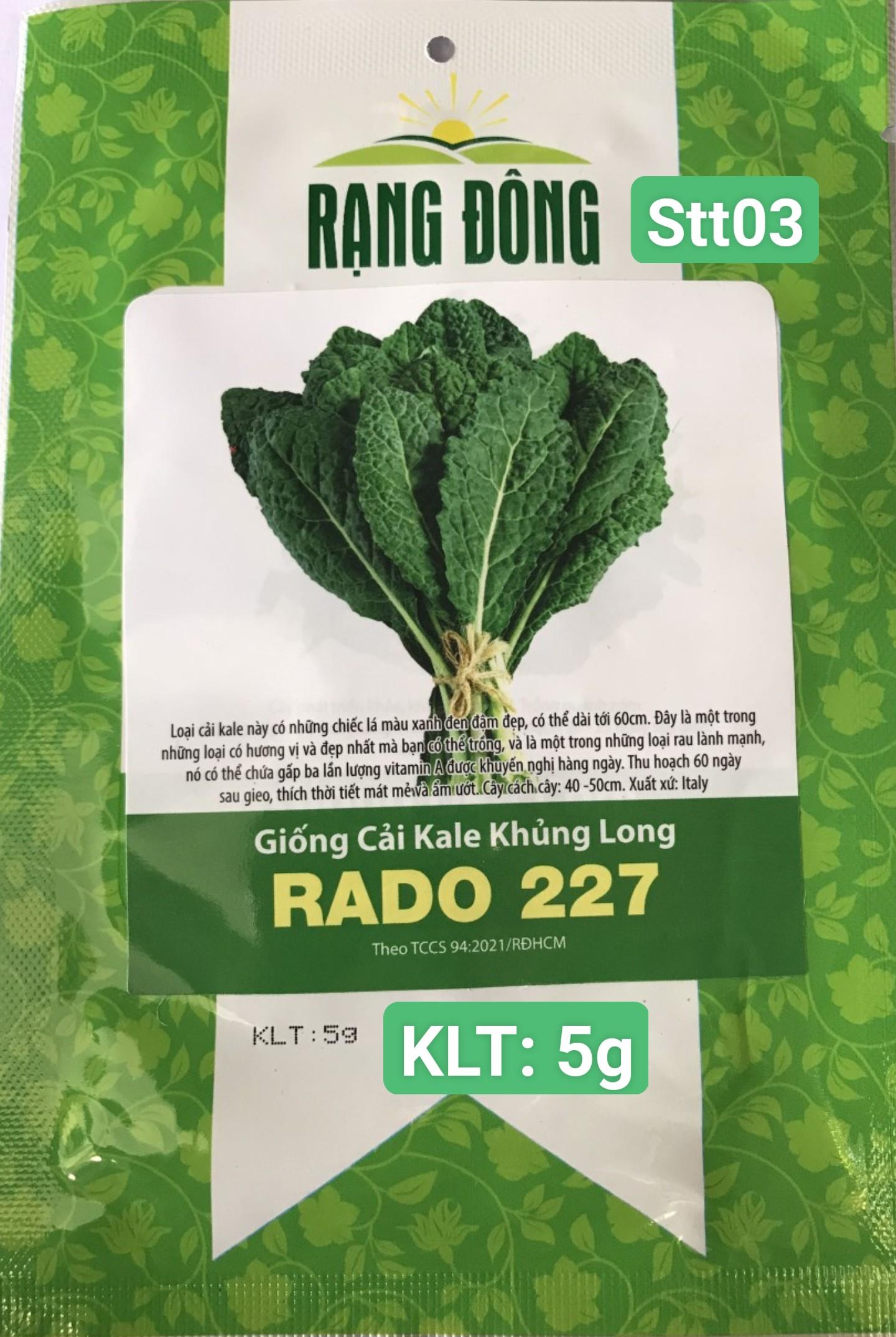 Cải Kale Khủng Long STT003