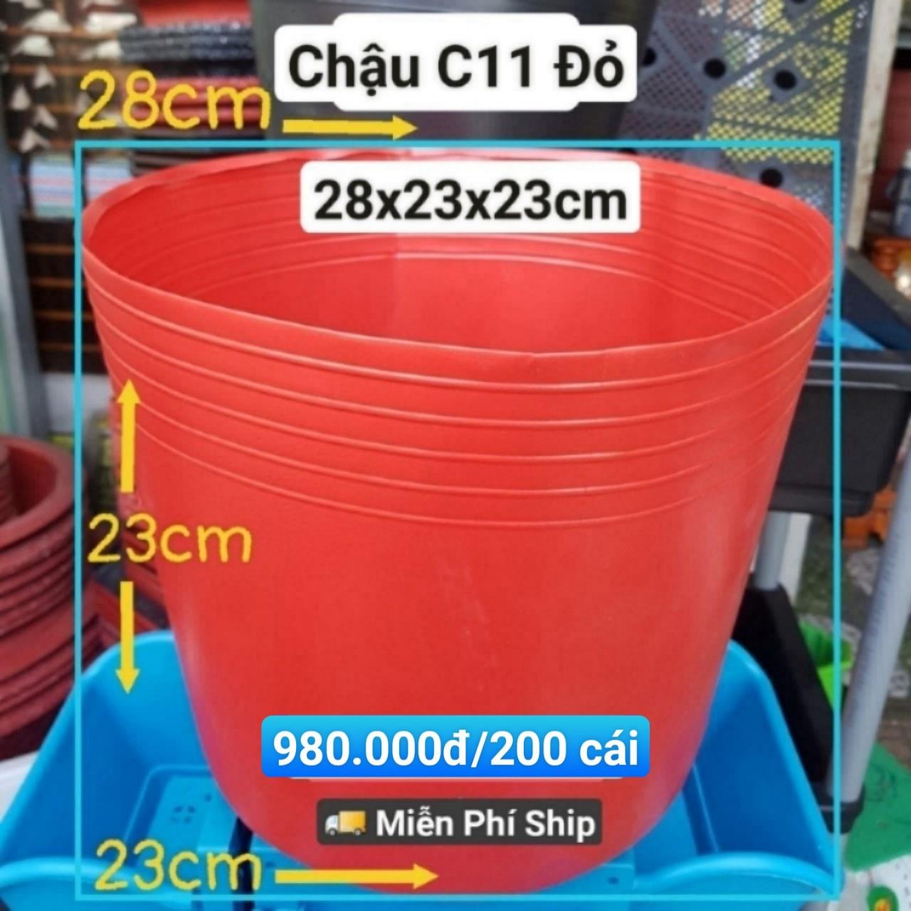 200 Chậu Mềm Đỏ C11