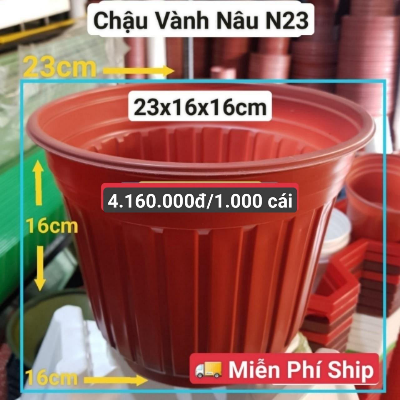 1000 Chậu Vành Nâu N23