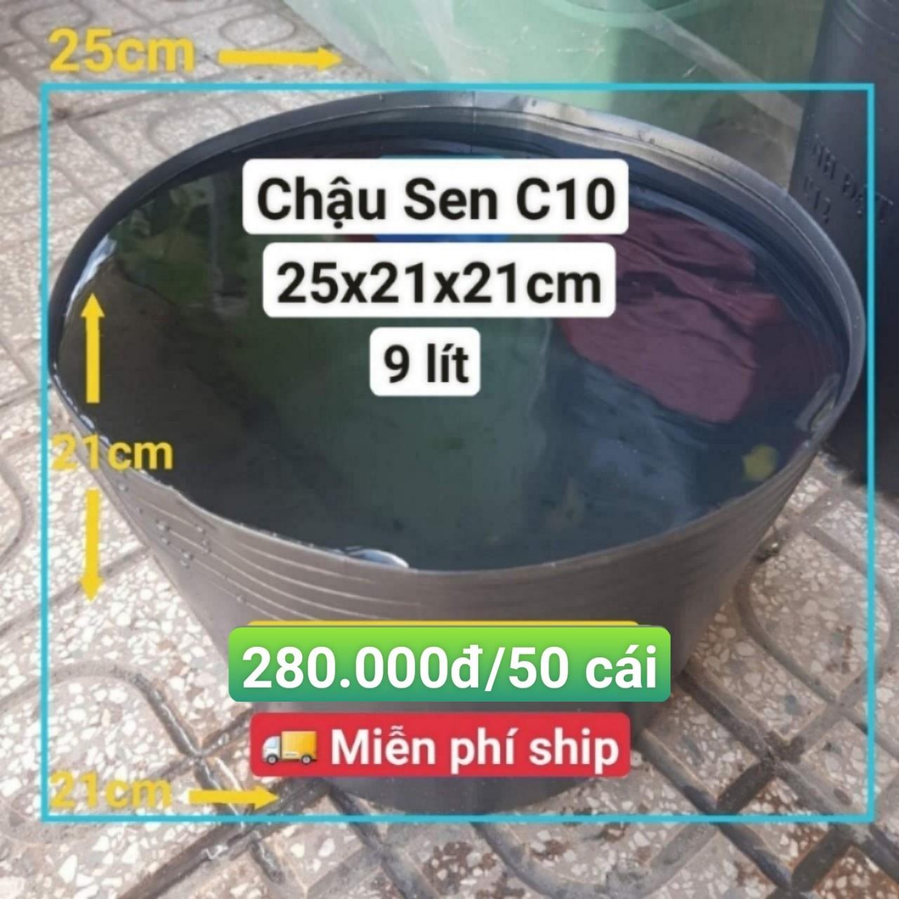 50 Chậu Nhựa Trồng Sen C10
