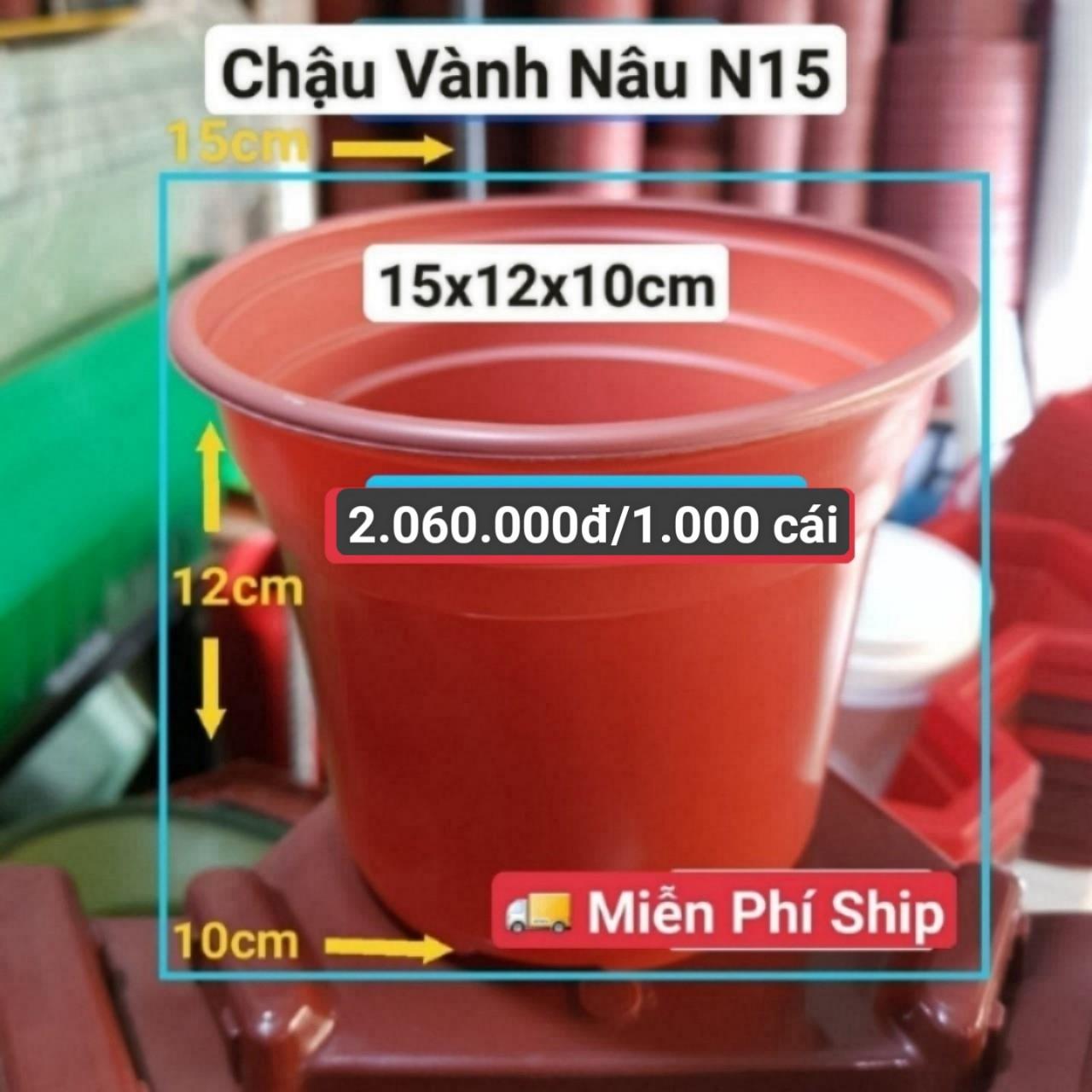 1000 Chậu Vành Nâu N15