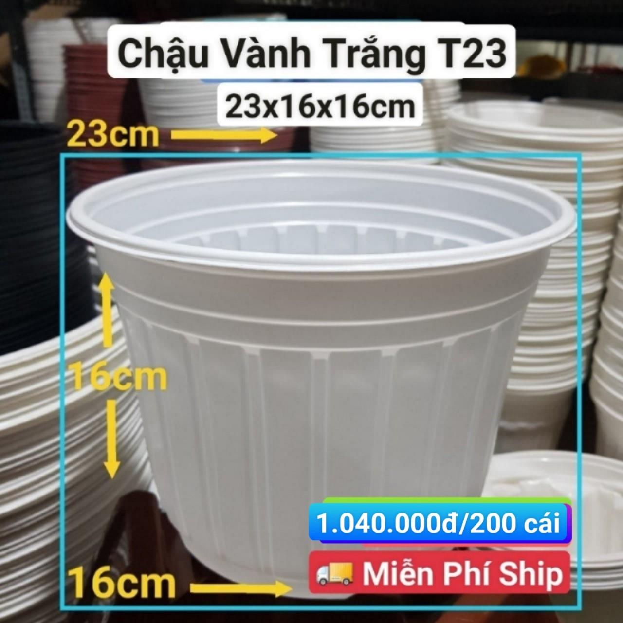 200 Chậu Vành Trắng T23