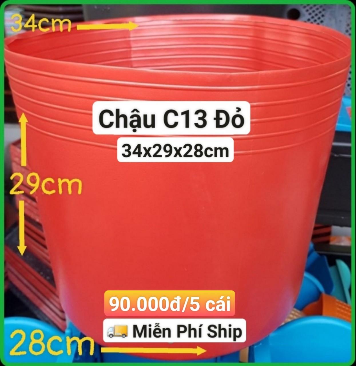 5 Chậu Mềm Đỏ C13