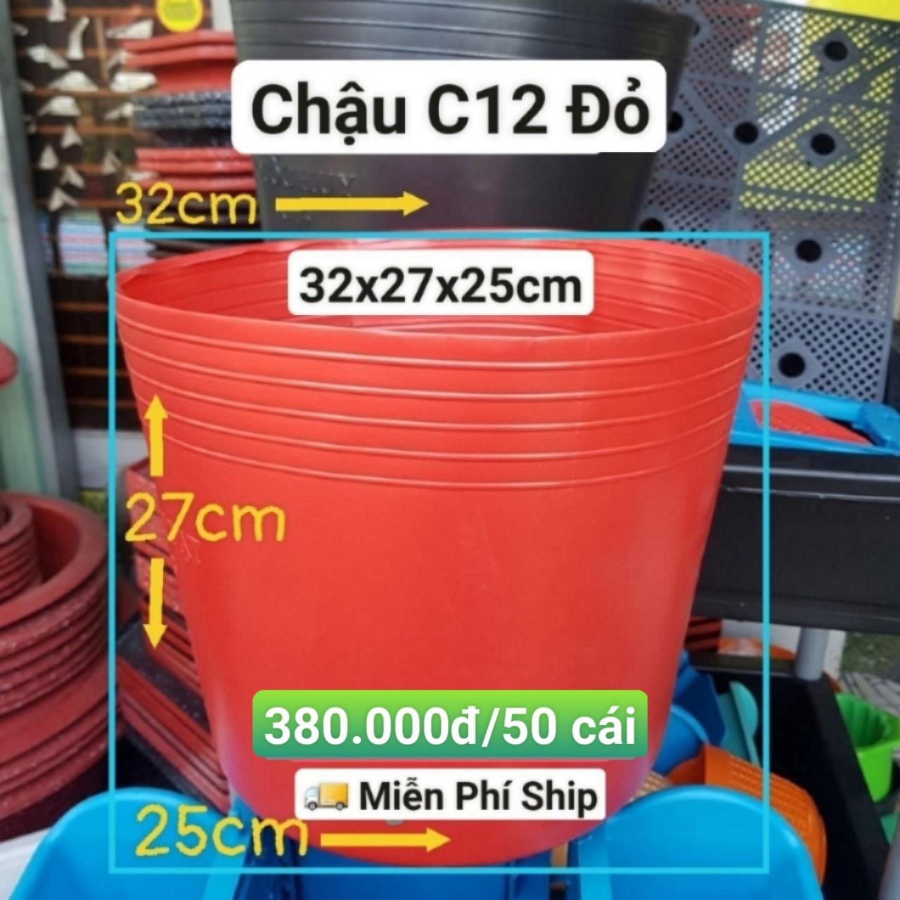 50 Chậu Mềm Đỏ C12