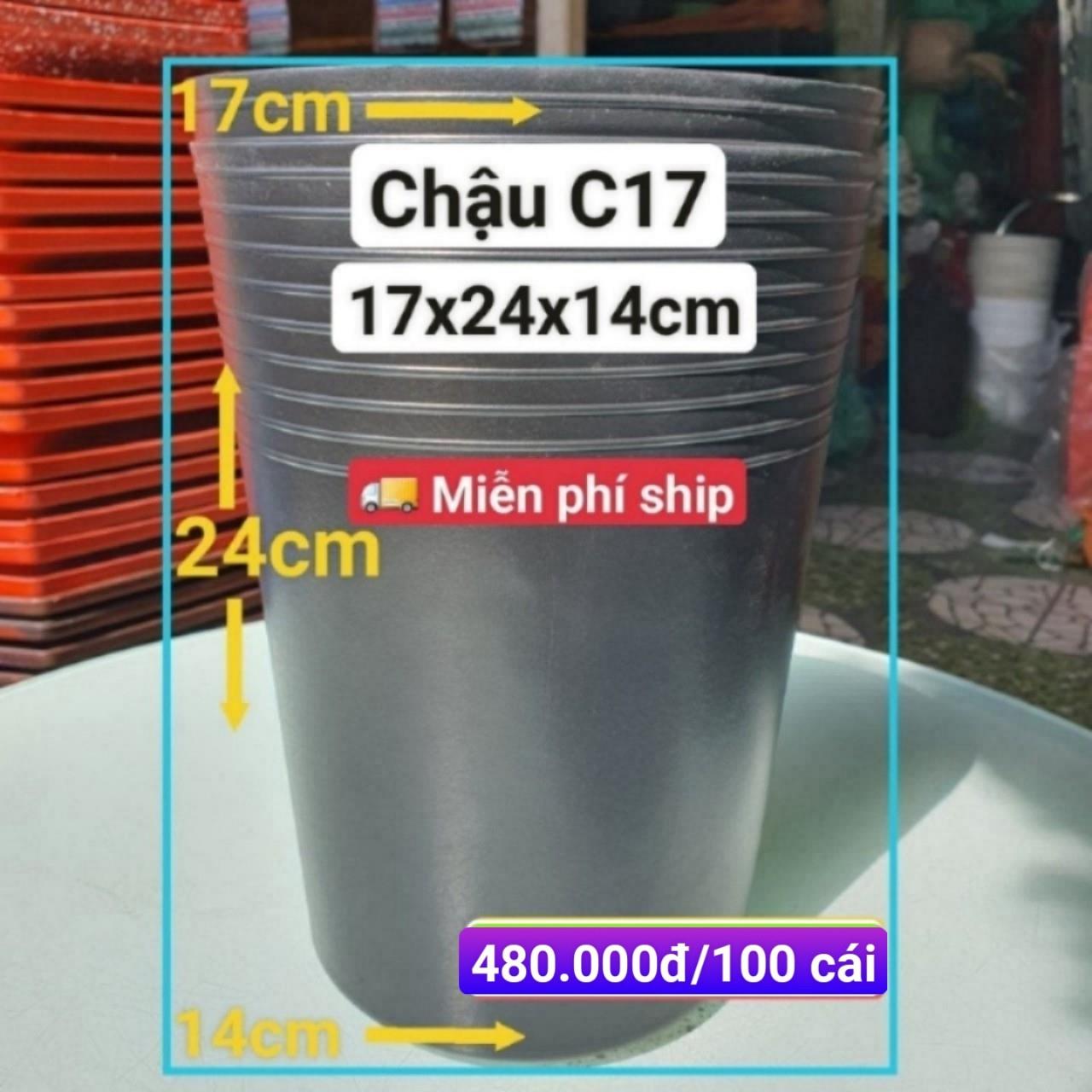 100 Chậu Ươm Cây Giống C17