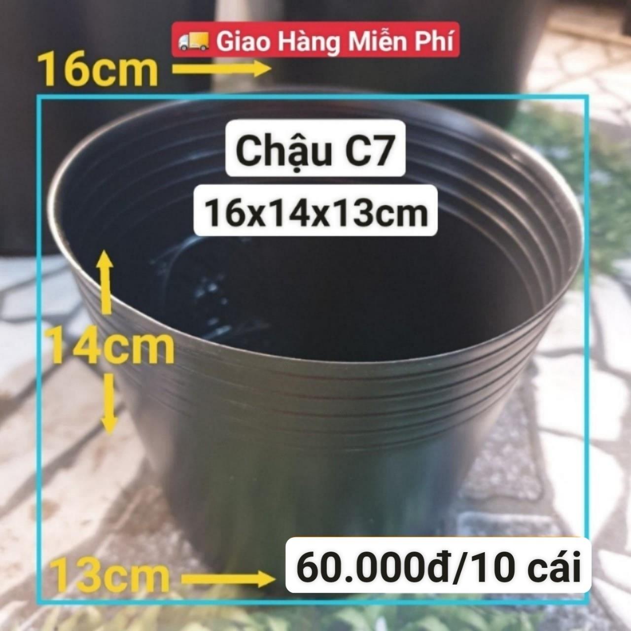 10 Chậu Mềm Đen C7