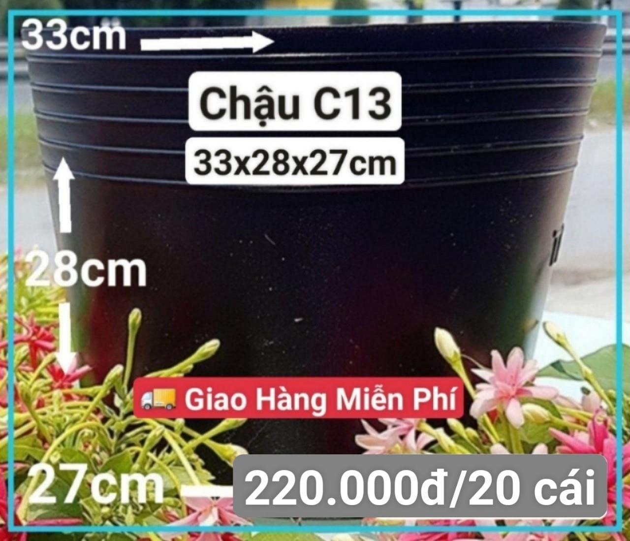 20 Chậu Mềm Đen C13