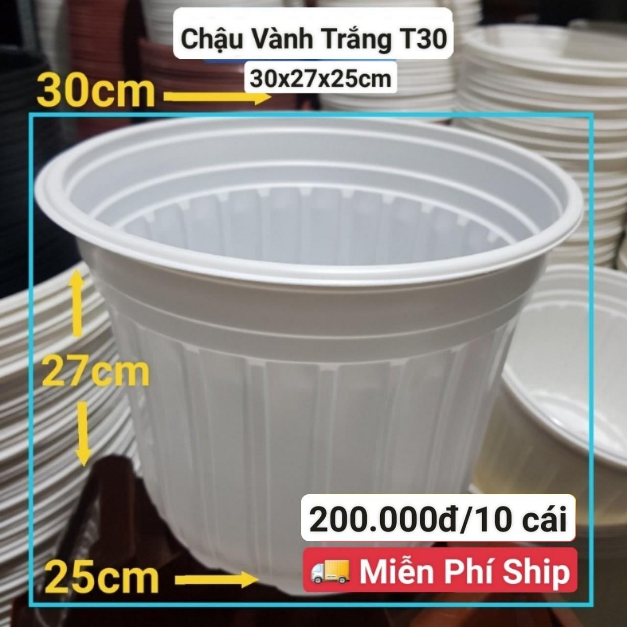 10 Chậu Vành Trắng T30