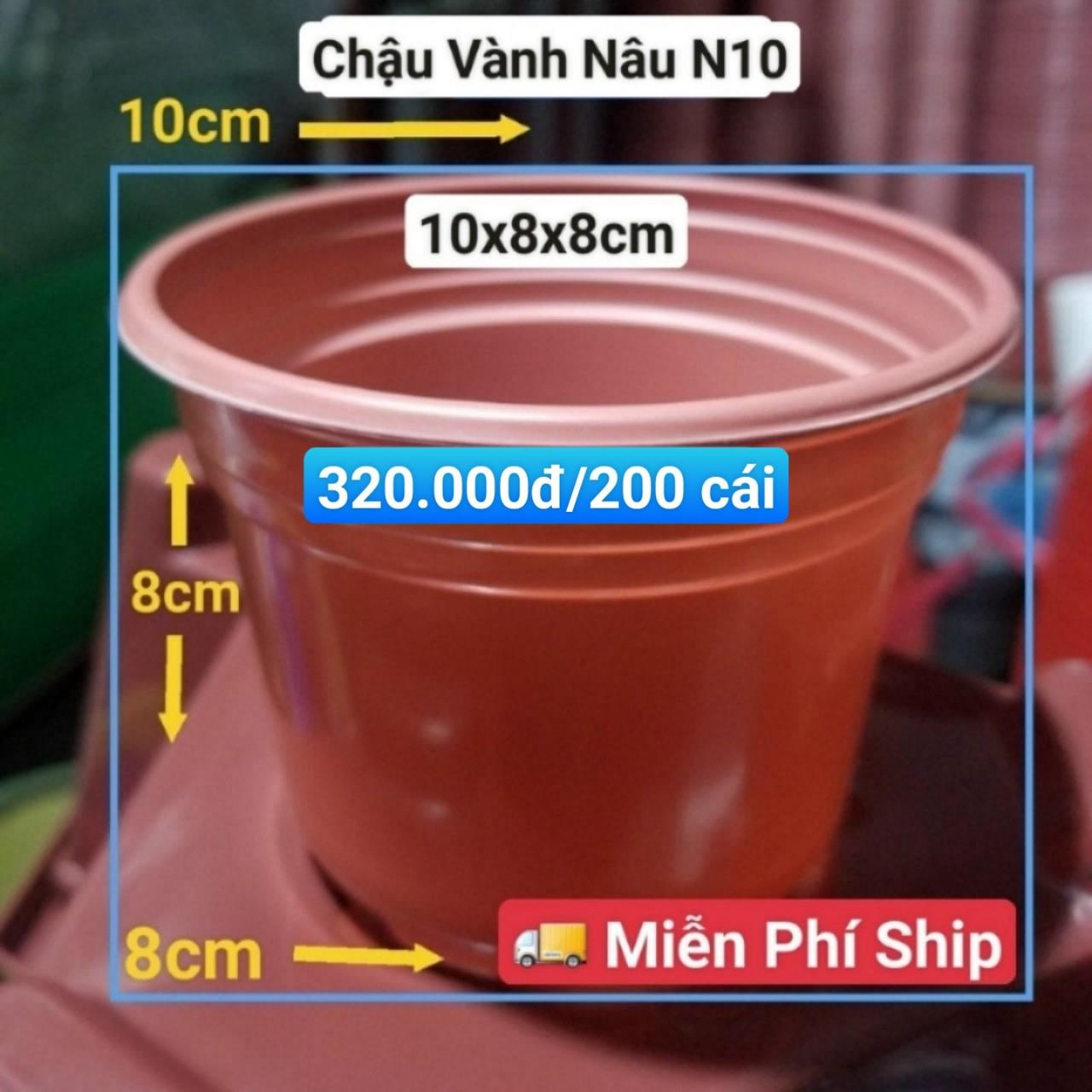 200 Chậu Vành Nâu N10