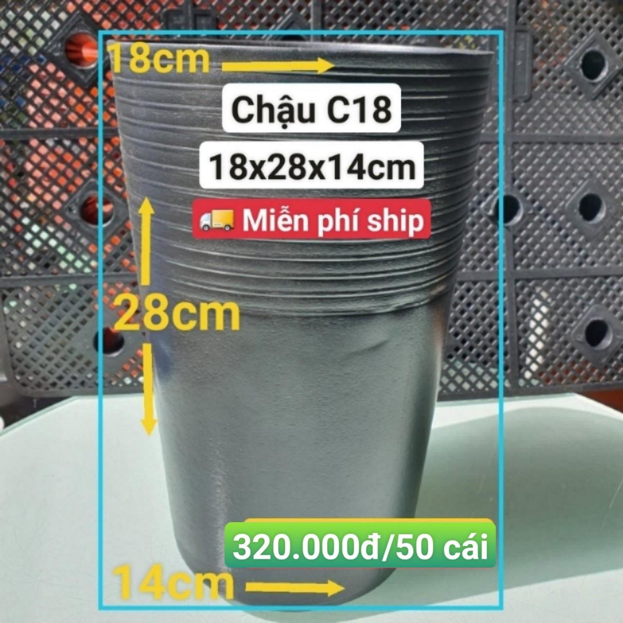 50 Chậu Ươm Cây Giống C18