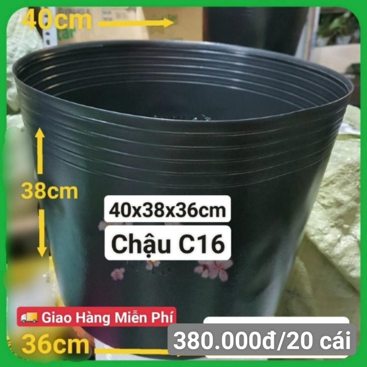 20 Chậu Mềm Đen C16