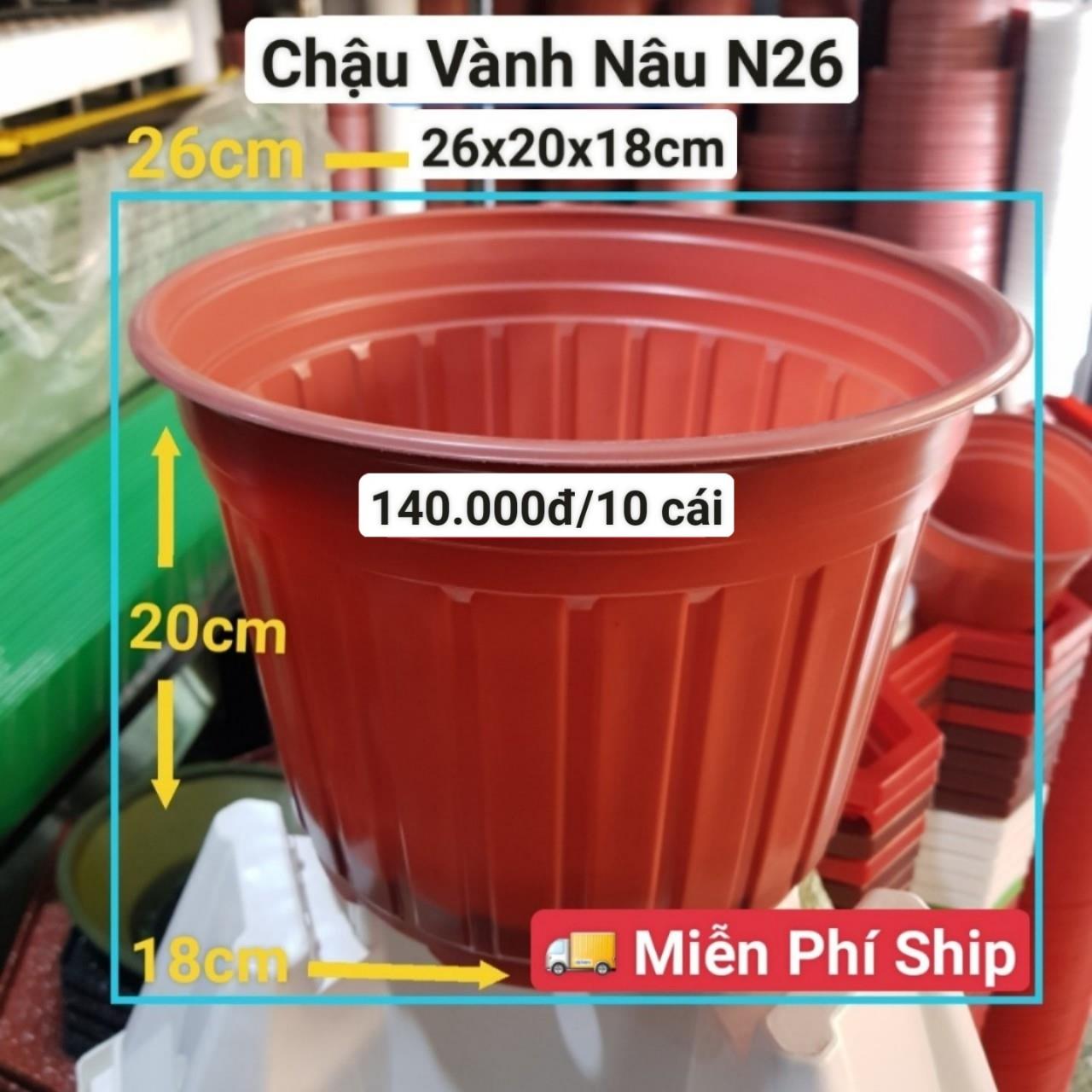 10 Chậu Vành Nâu N26