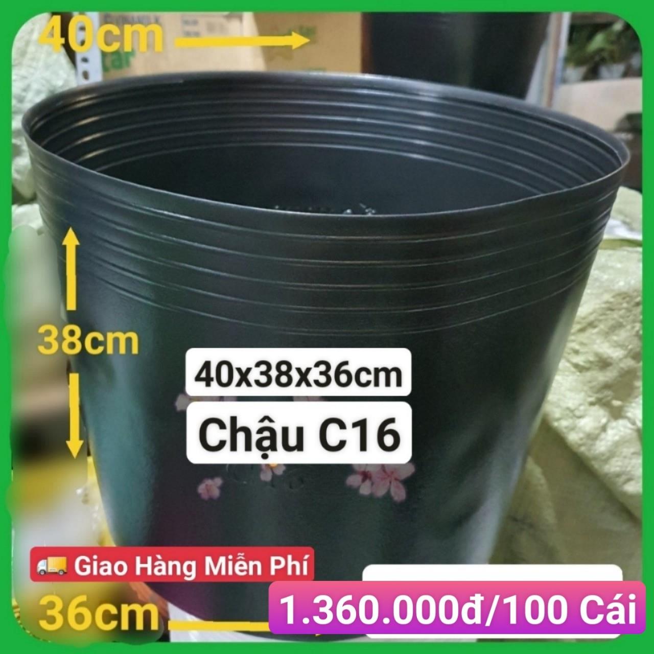 100 Chậu Mềm Đen C16