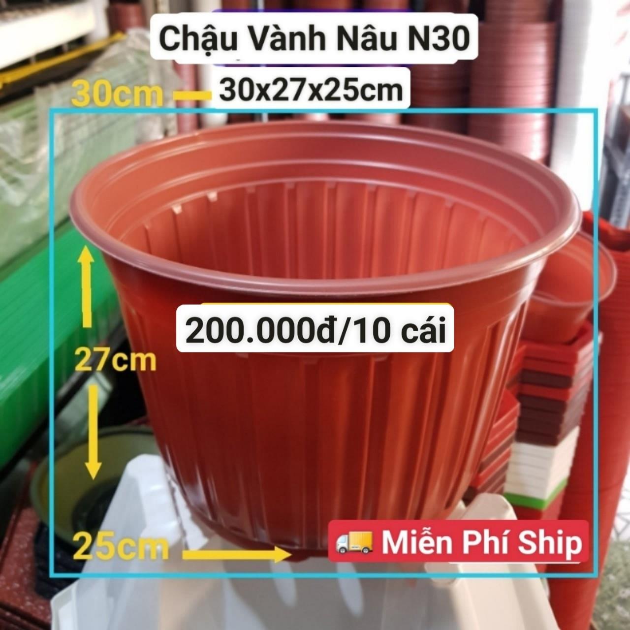 10 Chậu Vành Nâu N30