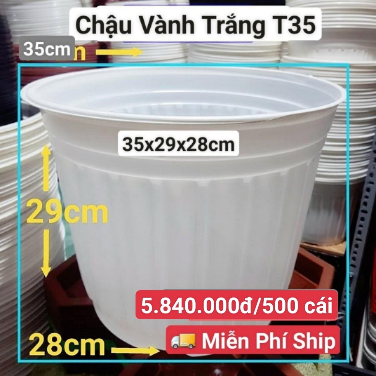 500 Chậu Vành Trắng T35