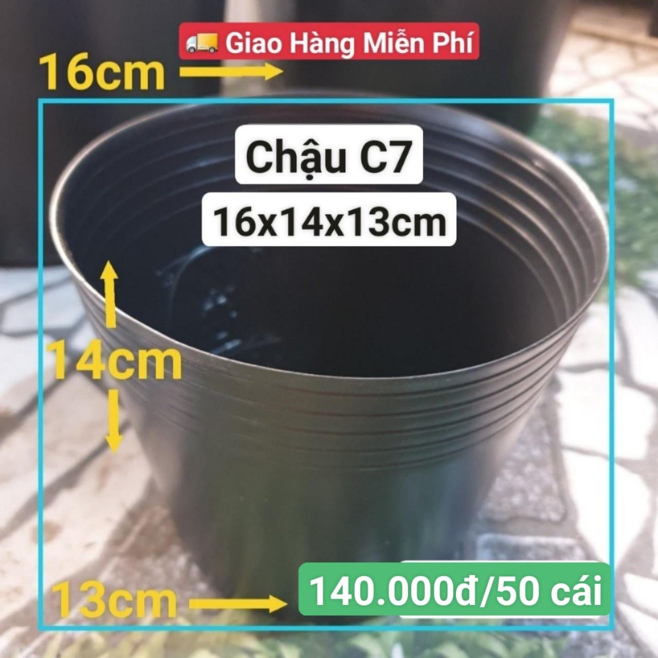 50 Chậu Mềm Đen C7