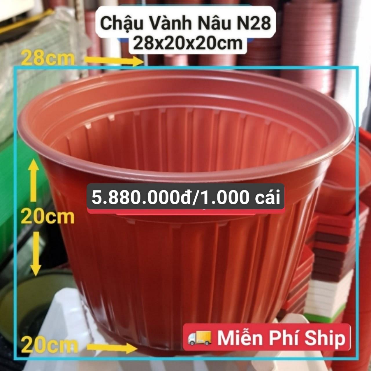 1000 Chậu Vành Nâu N28