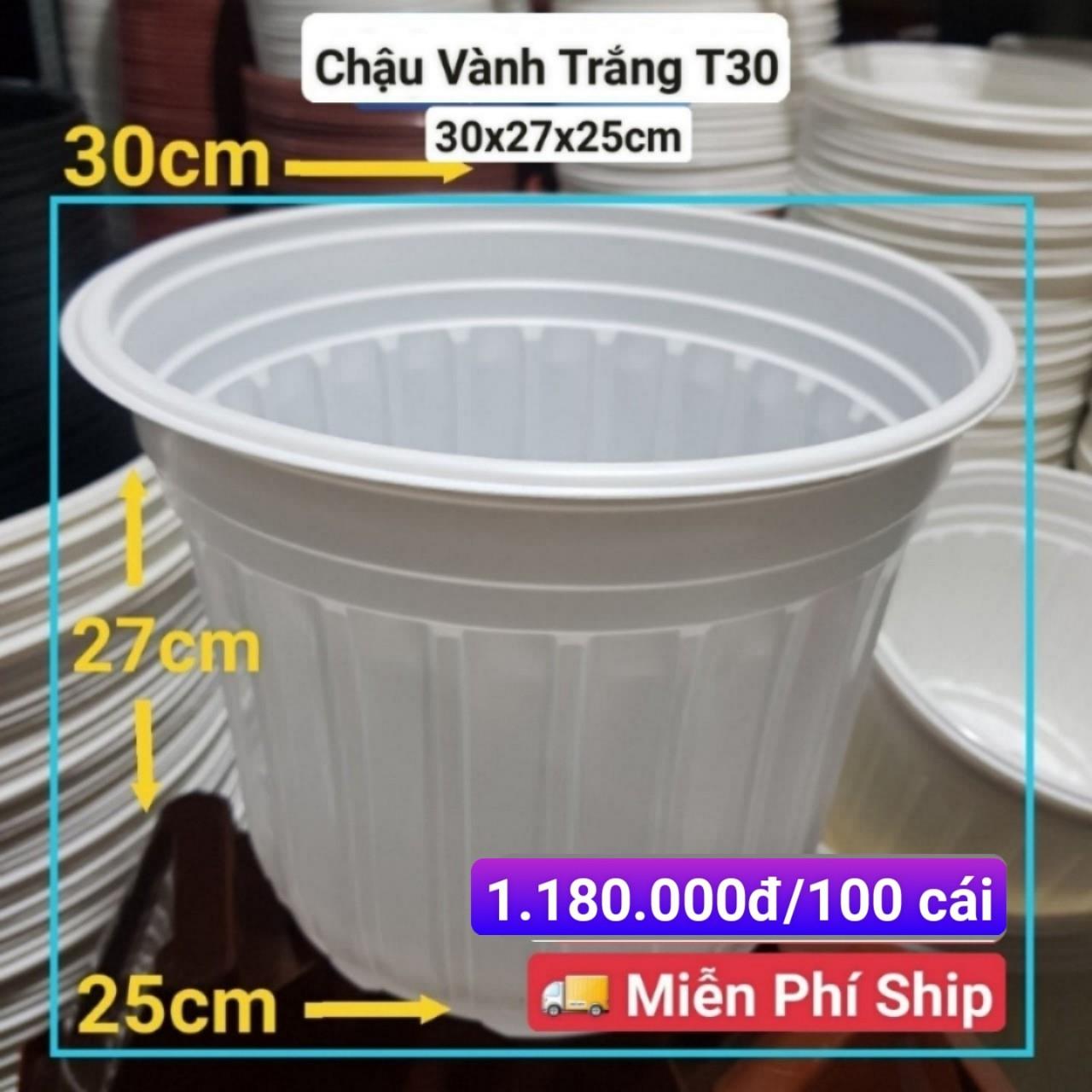 100 Chậu Vành Trắng T30