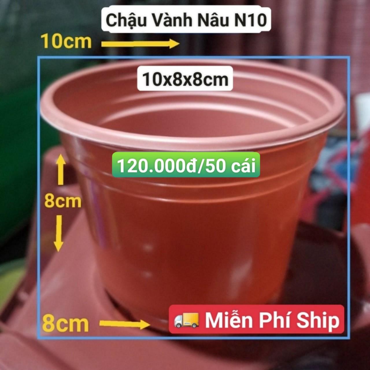 50 Chậu Vành Nâu N10