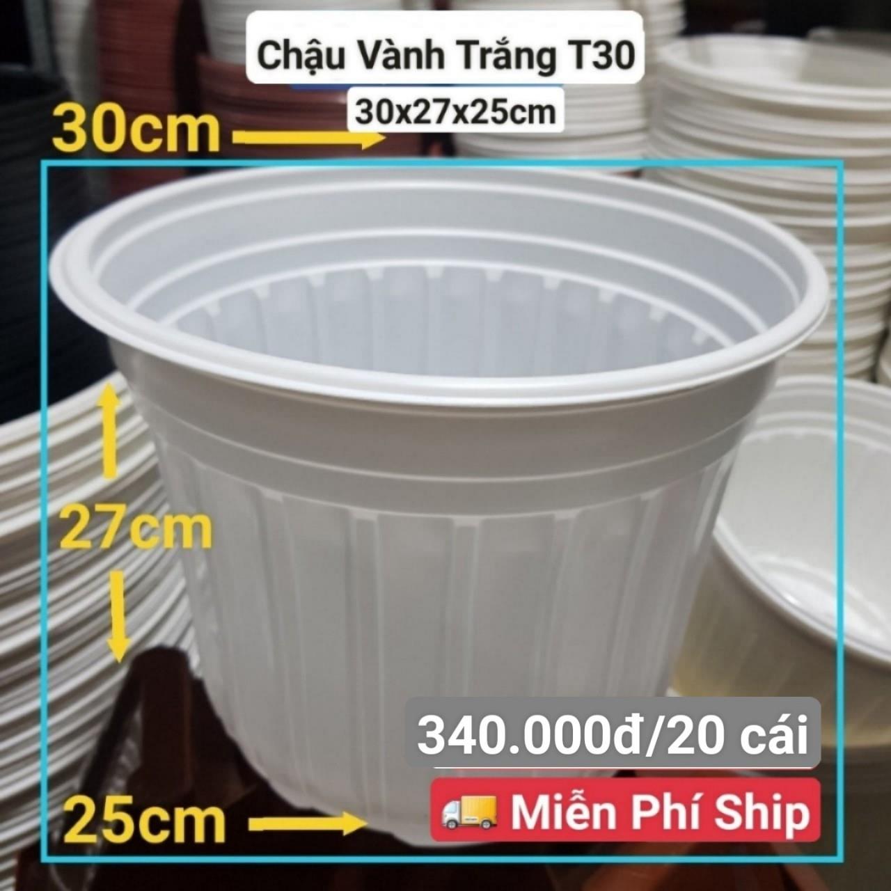 20 Chậu Vành Trắng T30