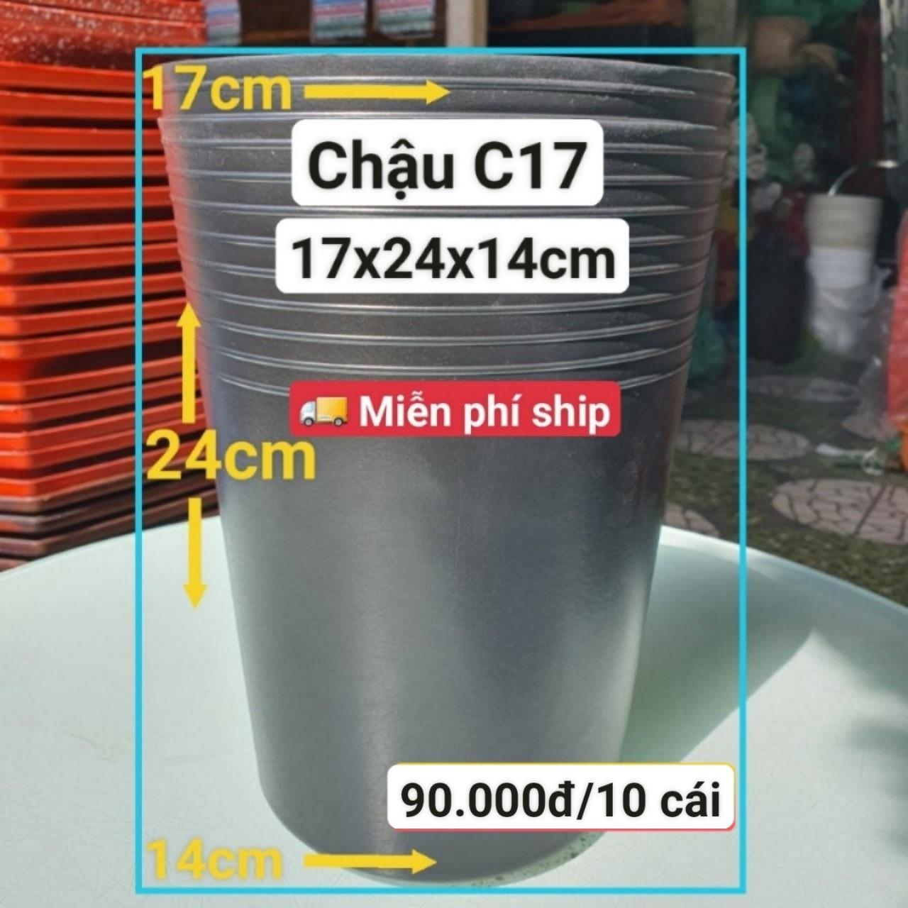 10 Chậu Ươm Cây Giống C17