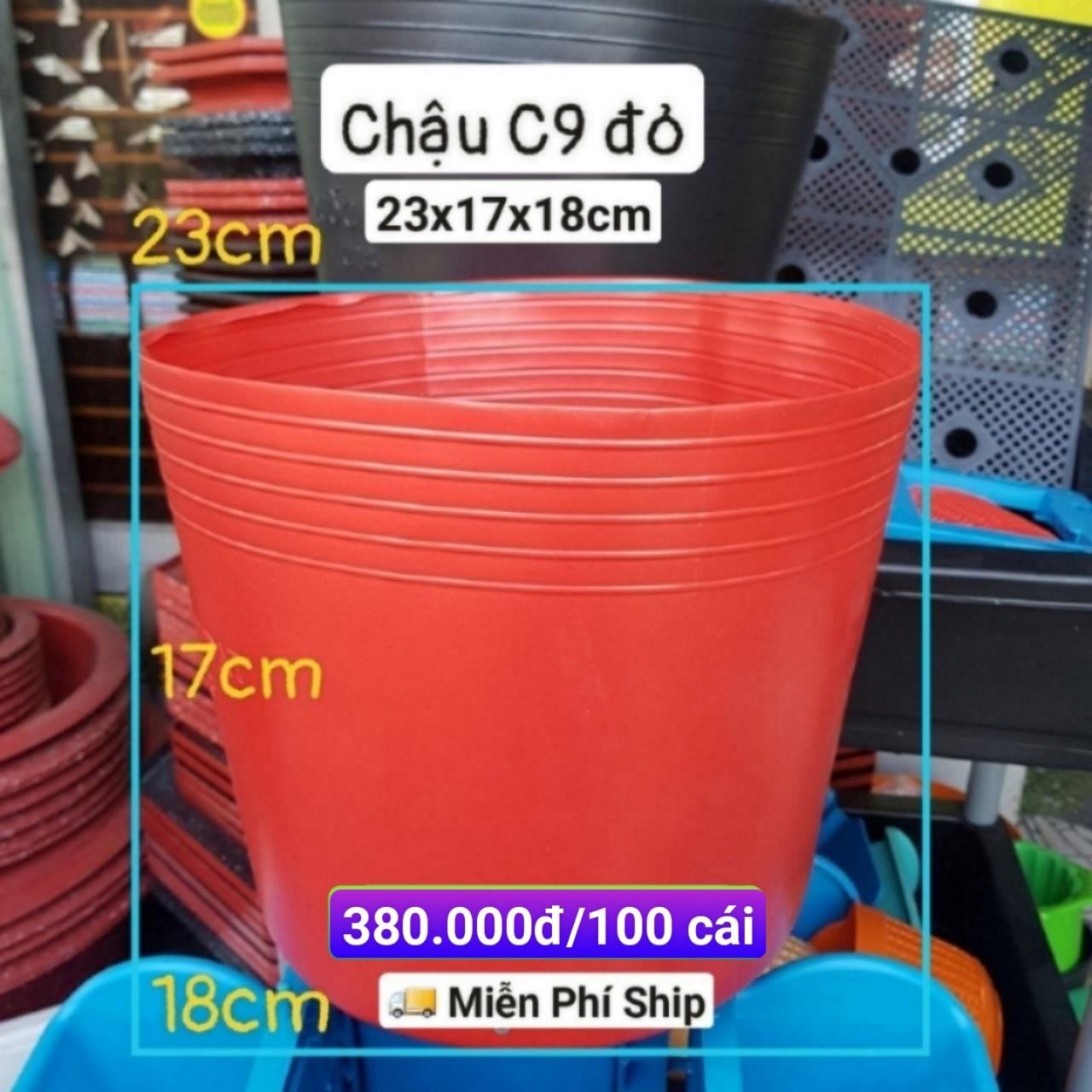 100 Chậu Mềm Đỏ C9