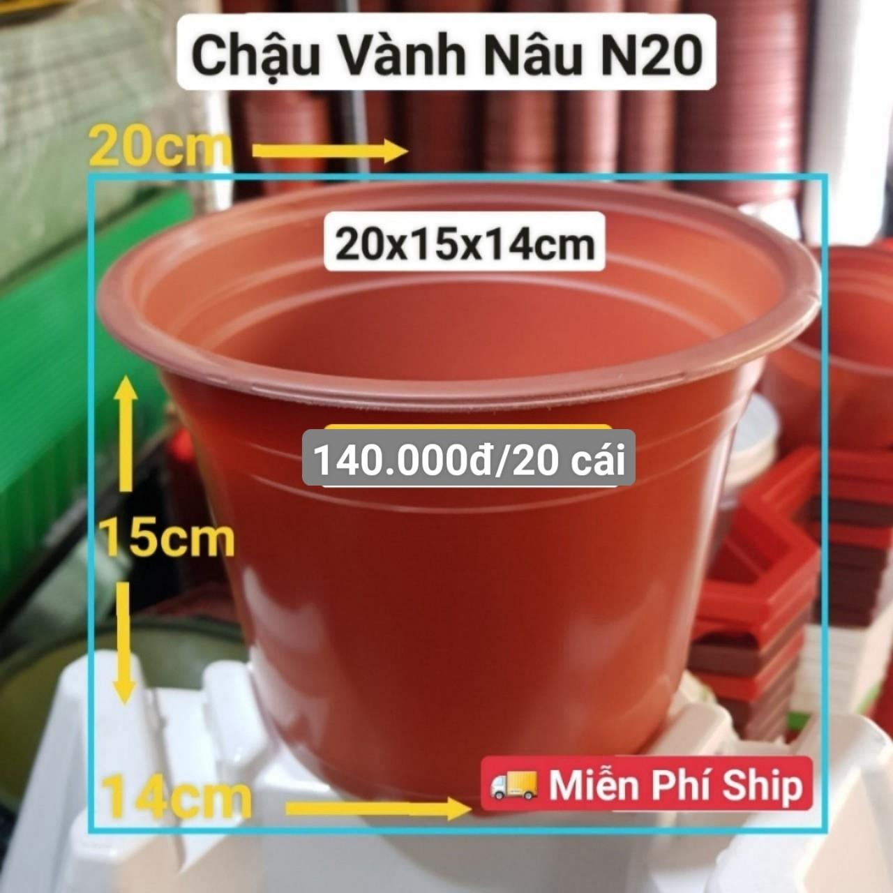 20 Chậu Vành Nâu N20