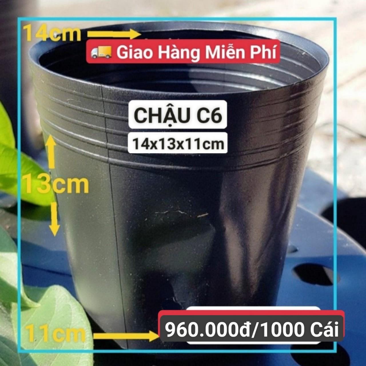 1000 Chậu Mềm Đen C6