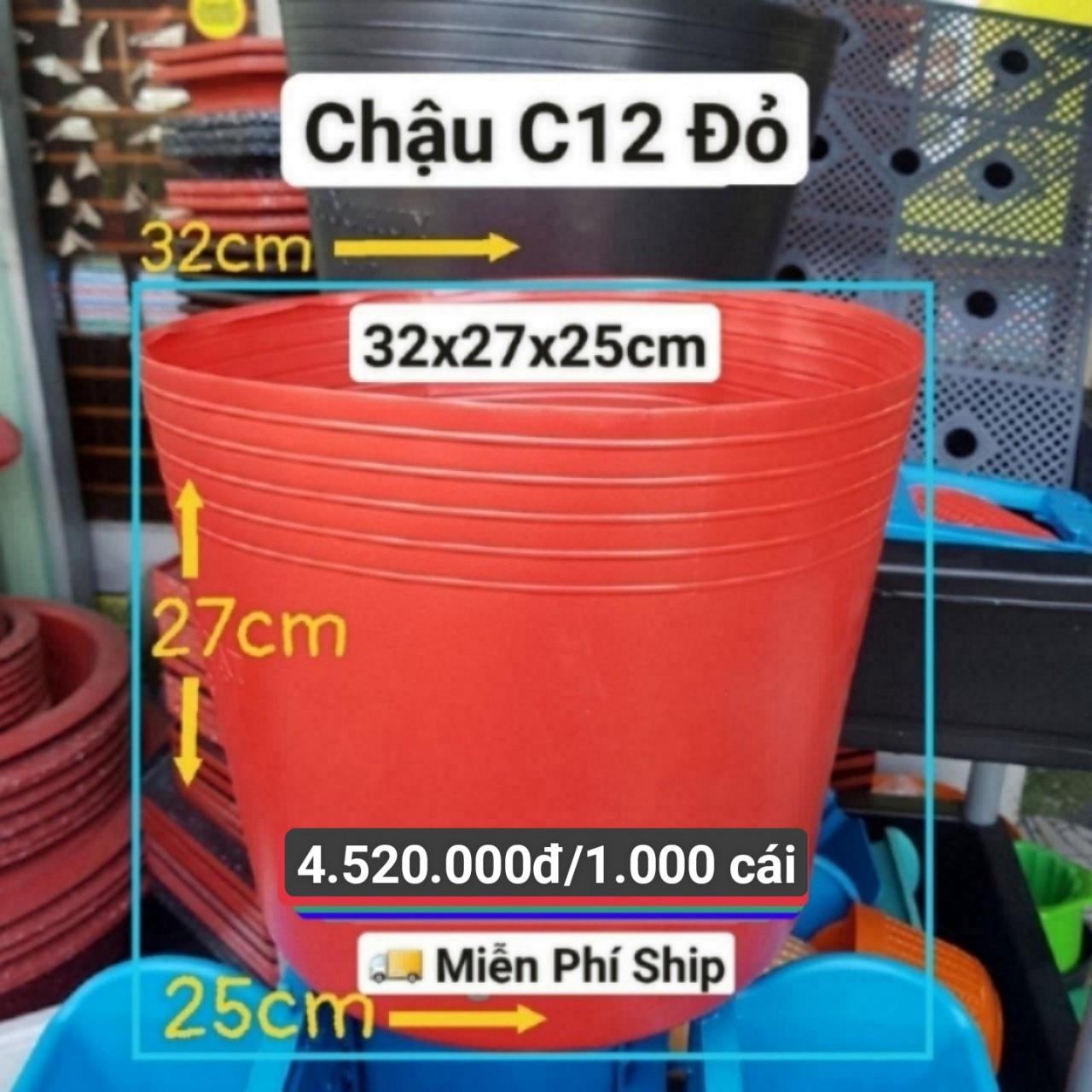 1000 Chậu Mềm Đỏ C12