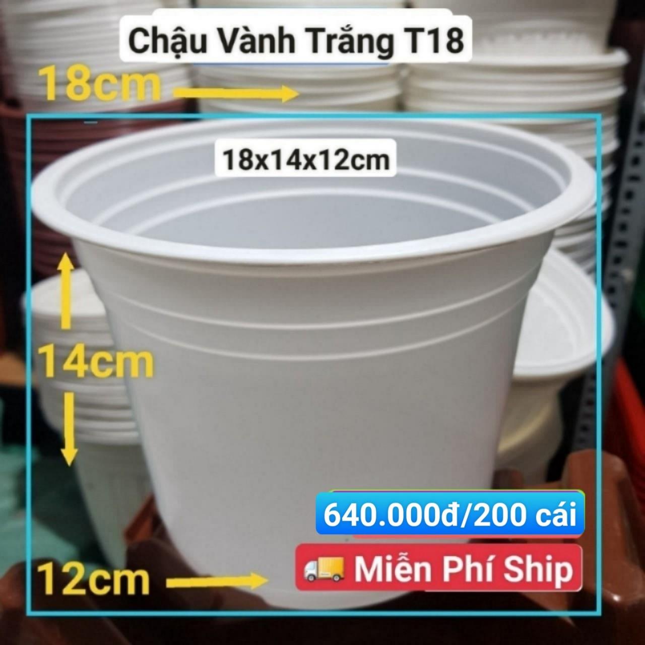 200 Chậu Vành Trắng T18