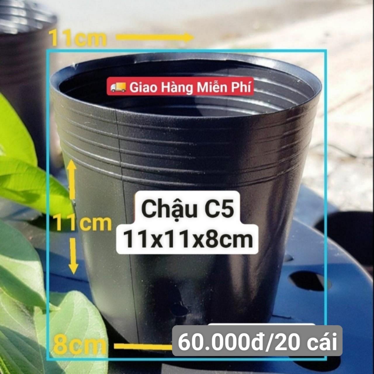 20 Chậu Mềm Đen C5