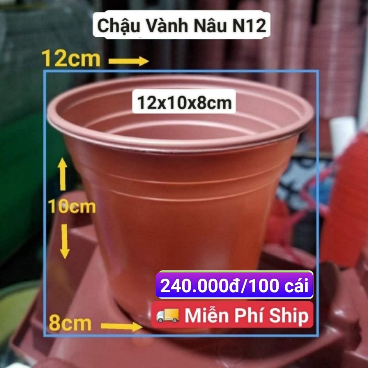 100 Chậu Vành Nâu N12