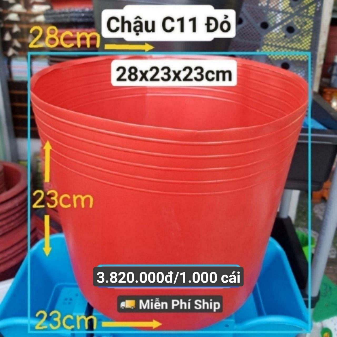 1000 Chậu Mềm Đỏ C11